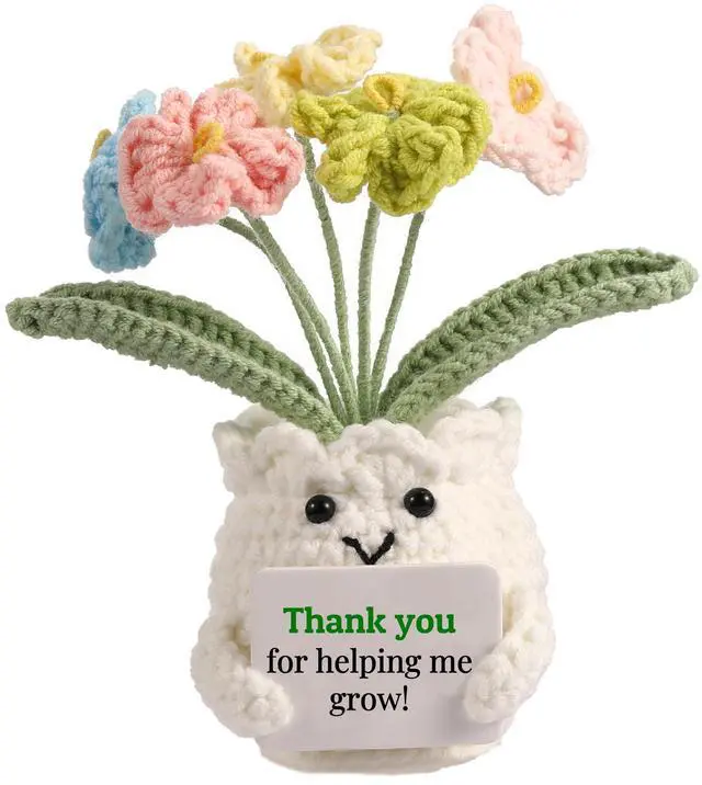 Main image of Back to School Teacher Gifts, Helping Me Grow Crochet Flower Pot