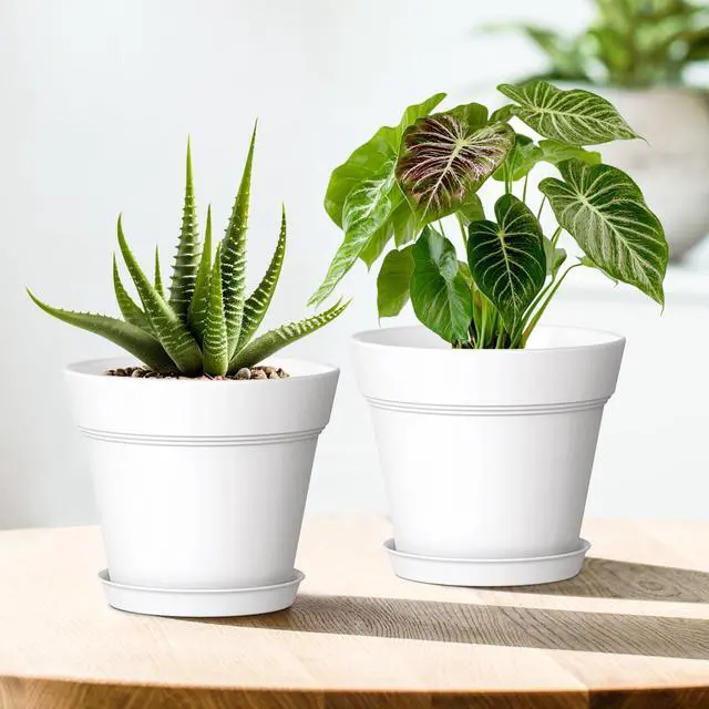 Alt view image 6 of 7 - 4 Inch Plastic Plant Pots with Drainage Holes and Trays 8 Pack Small Nursery Pots for Indoor & Outdoor House Plants and Flowers, Seedling Starter Planters, White