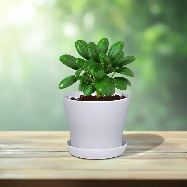 Alt view image 6 of 7 - 16-Pack 4" Plastic Flower Plant Pots Thickened Seedlings Nursery Pots, Flower Plant Container Seed Starting Pots with Pallet (White)