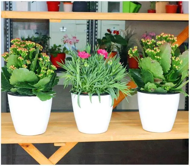 Alt view image 2 of 7 - 2 Pcs 3.5 Self Watering Planter White Flower Pot, Flowers Plants, Small Mini Planter Pot, for All Plants, Herbs, African Violets, Succulents