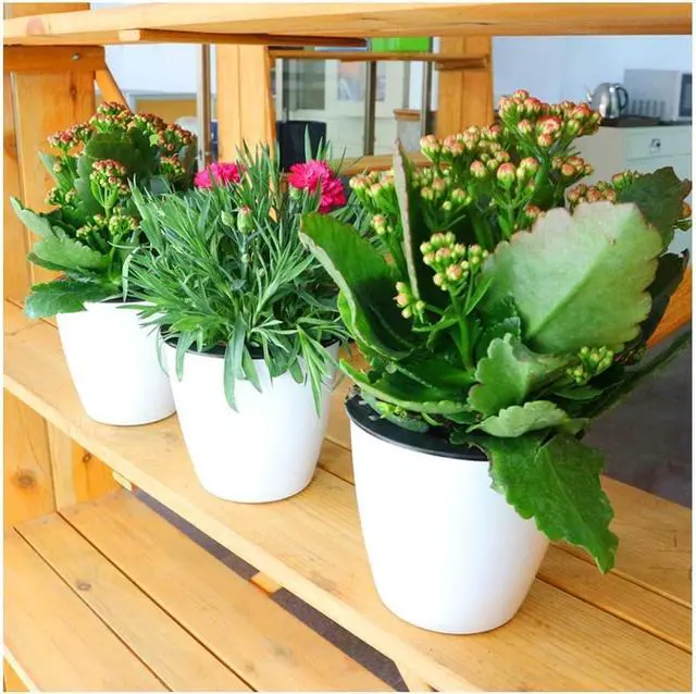 Alt view image 7 of 7 - 2 Pcs 3.5 Self Watering Planter White Flower Pot, Flowers Plants, Small Mini Planter Pot, for All Plants, Herbs, African Violets, Succulents