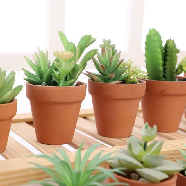 Alt view image 4 of 5 - 2.5 inch Terracotta Pots with Drainage Holes,Small Mini Clay Ceramic Pottery Planter,Cactus Flower Terra Cotta Pots,Succulents Nursery Pots for Indoor/Outdoor Plants,Crafts,Wedding-12 Pack