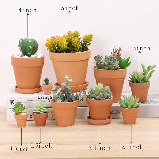 Alt view image 5 of 5 - 2.5 inch Terracotta Pots with Drainage Holes,Small Mini Clay Ceramic Pottery Planter,Cactus Flower Terra Cotta Pots,Succulents Nursery Pots for Indoor/Outdoor Plants,Crafts,Wedding-12 Pack