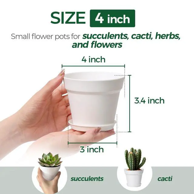 Alt view image 2 of 6 - Small Plant Pots 4 Inch 8 Pack, Plastic Indoor Flower Pots Saucer White | Succulent cactus herbs, Windowsill seedling starters, Desk office shelf, Mini compact lightweight