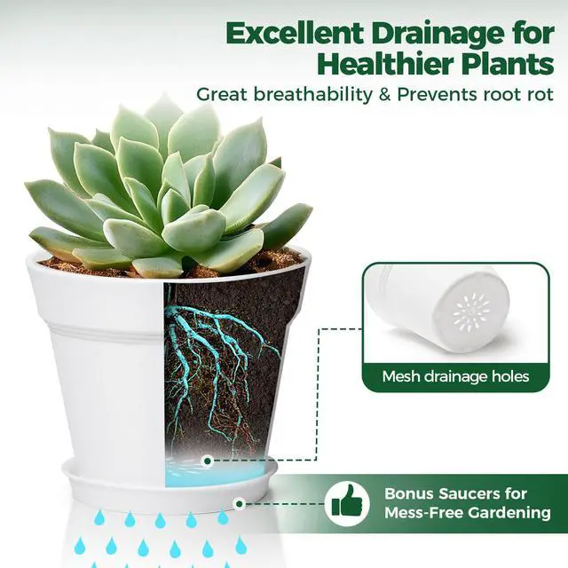 Alt view image 4 of 6 - Small Plant Pots 4 Inch 8 Pack, Plastic Indoor Flower Pots Saucer White | Succulent cactus herbs, Windowsill seedling starters, Desk office shelf, Mini compact lightweight