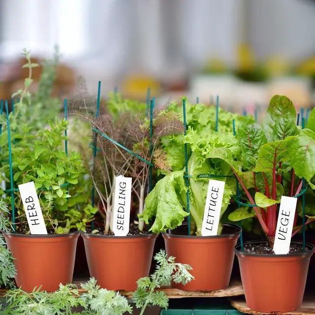 Alt view image 2 of 7 - 100 Pcs Plant Nursery Pots, 4 Inch Small Plant Seedling Pots with Labels Plastic Plant Flower Pots with Drainage Holes Indoor Outdoor for Succulent Cutting Transplanting