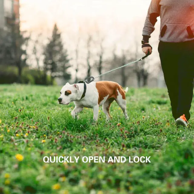 Alt view image 6 of 6 - 16 Pack Tactical Carabiners Keychain D Rings Spring Snap Gear Clip Utility Hooks Backpack Hanging Buckle Travelling for Camping