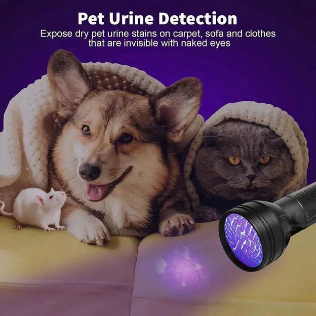 Alt view image 13 of 14 - Escolite UV Flashlight Black Light 51 LED 395 nM Ultraviolet Blacklight Detector for Dog Urine Pet Stains and Bed Bug