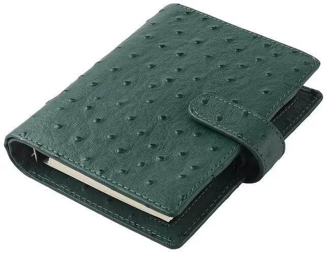 Main image of Budget Binder,Leather Rings Planner, 6-Ring Pocket Organizer Notebook Cover (Ostrich-Dark Green)