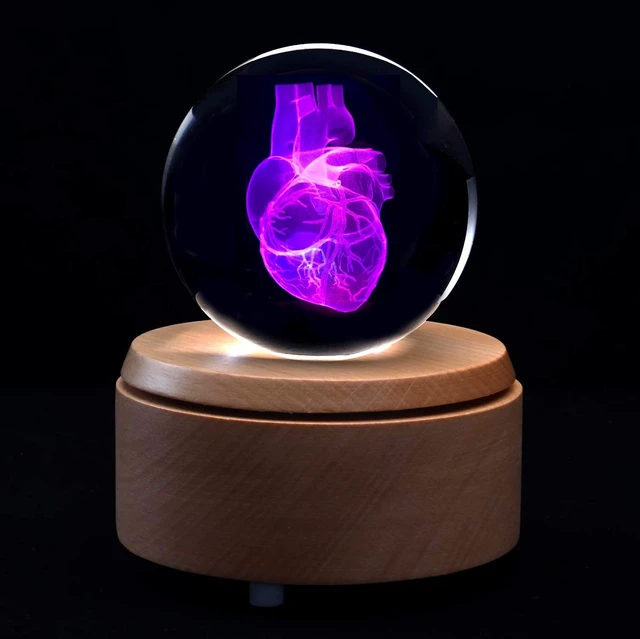 Alt view image 2 of 5 - 3D Human Heart Anatomical Model Paperweight(Laser Etched) in Crystal Glass Ball Science Gift (Included LED Base)