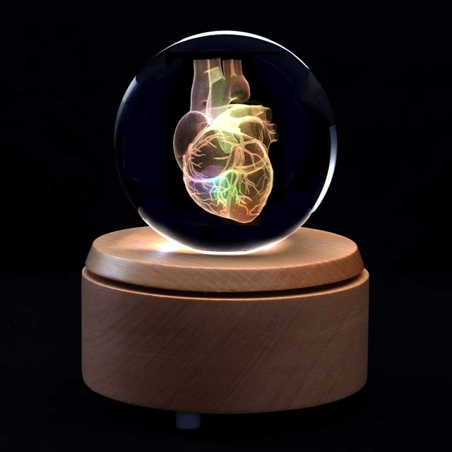 Alt view image 3 of 5 - 3D Human Heart Anatomical Model Paperweight(Laser Etched) in Crystal Glass Ball Science Gift (Included LED Base)