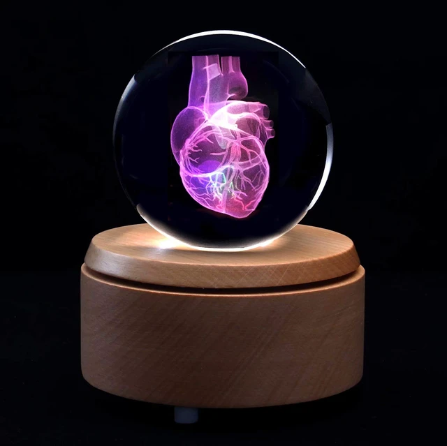 Alt view image 4 of 5 - 3D Human Heart Anatomical Model Paperweight(Laser Etched) in Crystal Glass Ball Science Gift (Included LED Base)