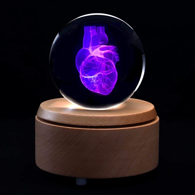 Alt view image 5 of 5 - 3D Human Heart Anatomical Model Paperweight(Laser Etched) in Crystal Glass Ball Science Gift (Included LED Base)