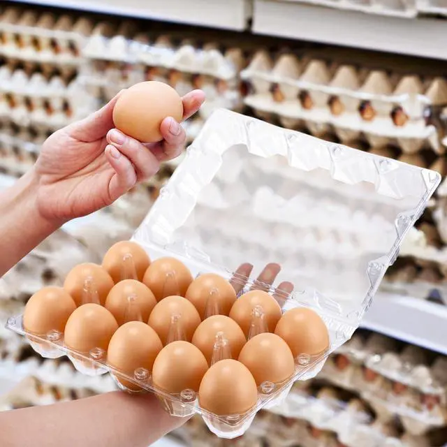 Alt view image 6 of 6 - 3 x 5 Count 200 Pack Egg Carton Bulk Clear Plastic Empty Egg Containers for Farm Market Refrigerator Storage