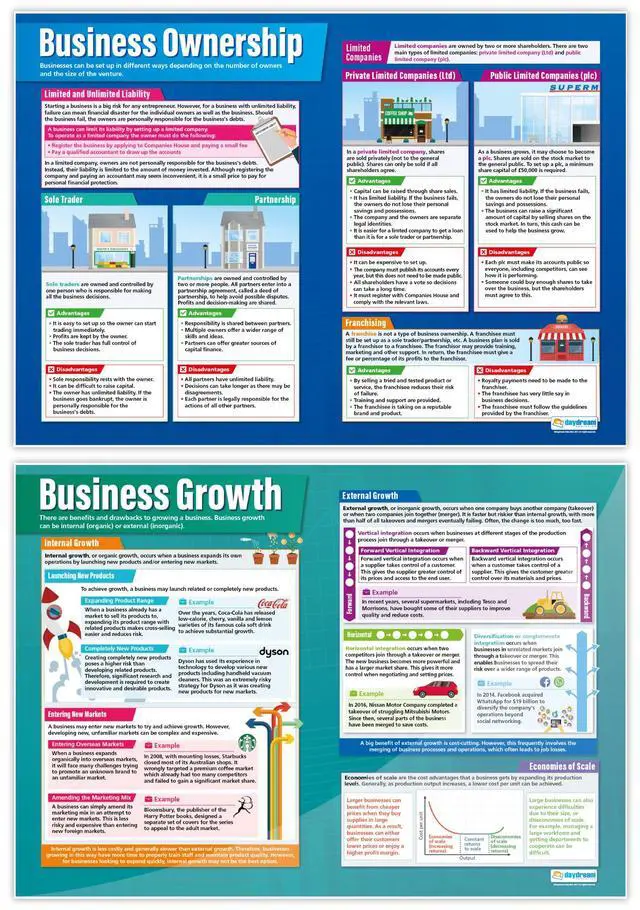 Alt view image 6 of 6 - Business Decisions High School Classroom Posters - Set of 9 - EXTRA LARGE 33" x 23.5" - Laminated - Business Studies Middle & High School Class Decor - Wall Charts