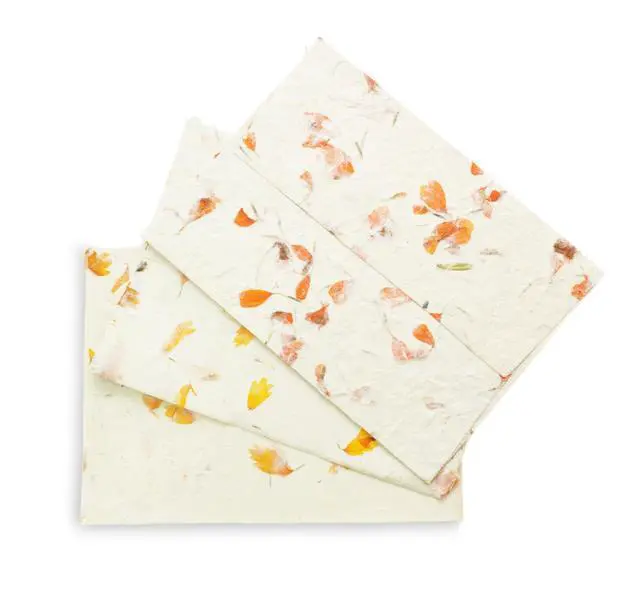 Alt view image 6 of 6 - Lokta Envelopes for 5x7 Cards, Marigold (100 Pack) | Handmade pressed flower petal paper, 5.5x7.5 inch, DIY wedding invitations, announcements, vintage stationery, made in Nepal