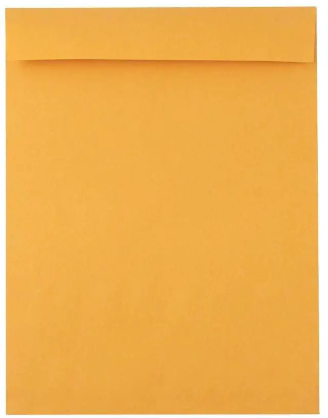 Main image of Jumbo Envelopes | 11" x 17" | Brown Kraft | 28lb. Text | 50 Qty