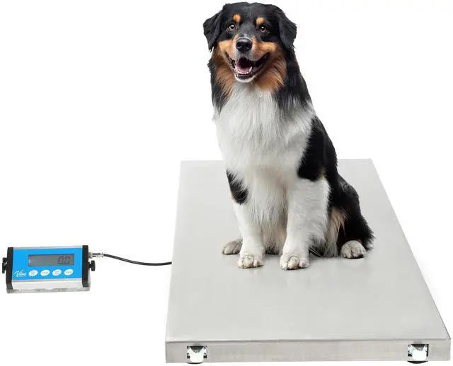 Main image of Alpine ADIME904-04 Stainless-Steel Veterinary Scale, 44.09inH x 20.47inW x 1.77inD, White