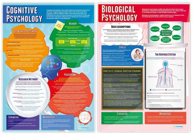 Alt view image 3 of 6 - Psychological Approaches Classroom Posters - Set of 5 - EXTRA LARGE 33" x 23.5" - Laminated - Psychology High School Classroom Decor - Wall Charts
