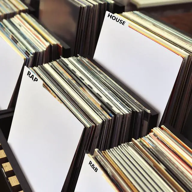 Alt view image 6 of 6 - 120 Pcs Vinyl Record Dividers Blank LP Divider with 4 Sheets A - Z Alphabet Labels, White Plastic Organizer with Tabs for 33 RPM Storage and Protection