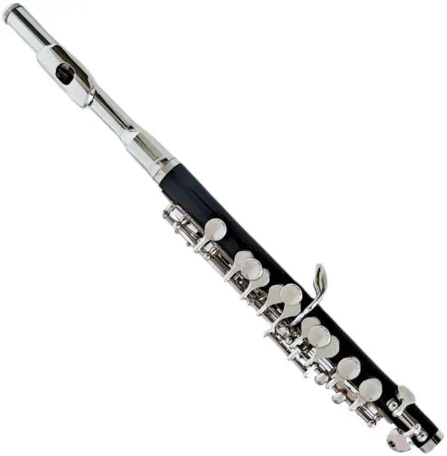 Main image of Piccolo C Key, Nickel Plated, DPC-110, for Beginner Student Piccolo Instrument, Carrying Case