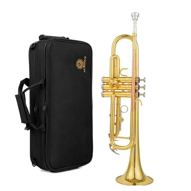 Main image of bb trumpet 6331 brass b flat trumpet for beginners and intermediate players copper leadpipe gold lacquer finish stainless steel valves phosphorus hard case and accessories included