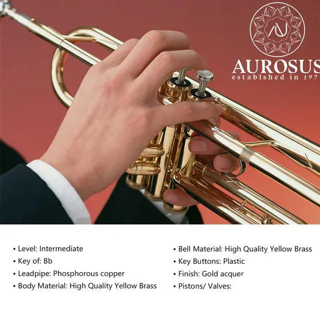 Alt view image 2 of 7 - bb trumpet 6331 brass b flat trumpet for beginners and intermediate players copper leadpipe gold lacquer finish stainless steel valves phosphorus hard case and accessories included