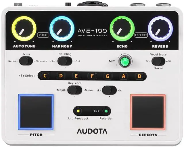Main image of AVE-100 Multi-Effect Vocal Processor - Triple Intelligent Loop Cancellation, OTG Audio Interface for Singers, Podcasters, Live Streaming & Home Studio