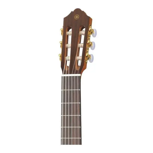 Alt view image 4 of 6 - CG122MSH Classical Guitar, Solid Spruce Top