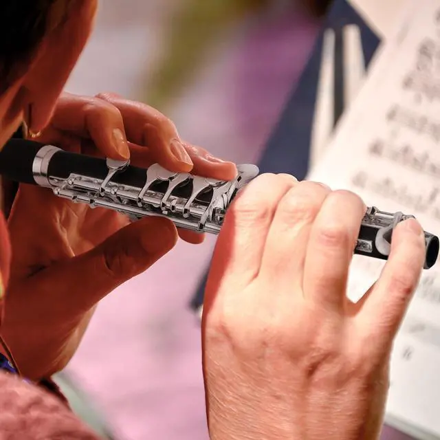 Alt view image 2 of 7 - Segolike 1Set Piccolo Flute Instruments W/Wood Case Cleaning Cloth Screwdriver
