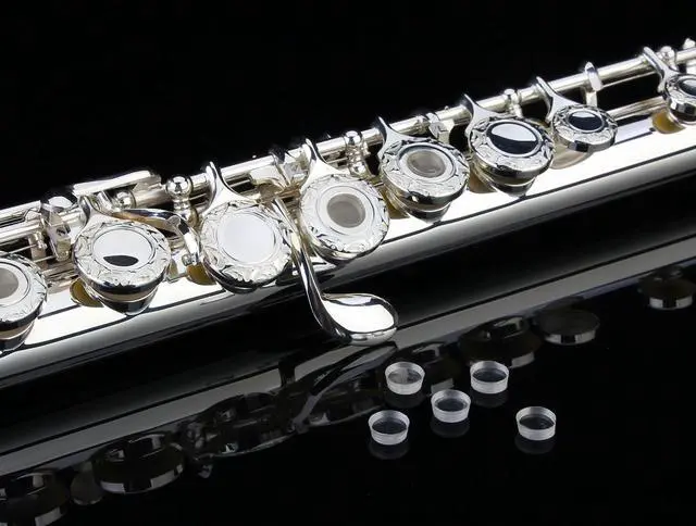 Alt view image 2 of 7 - HAND-ENGRAVED SILVER PLATED HIGH GRADE FLUTE 17 Hole OPEN/CLOSED C Flute With Case, Tuning Rod and Cloth and Gloves,HIGH GRADE HAND ENGRAVED