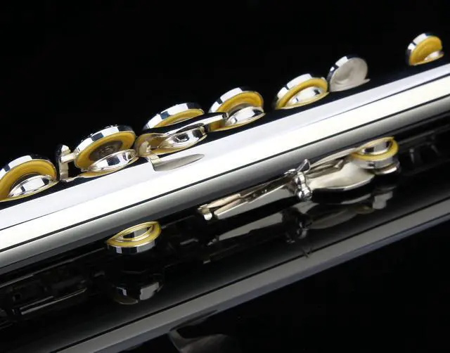 Alt view image 3 of 7 - HAND-ENGRAVED SILVER PLATED HIGH GRADE FLUTE 17 Hole OPEN/CLOSED C Flute With Case, Tuning Rod and Cloth and Gloves,HIGH GRADE HAND ENGRAVED
