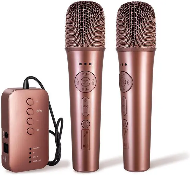 Main image of AI Karaoke Microphone, Multifunctional Karaoke Machine & Multi-Pairing Converter, Auto-Vocal Removal/Sing-Along Feature