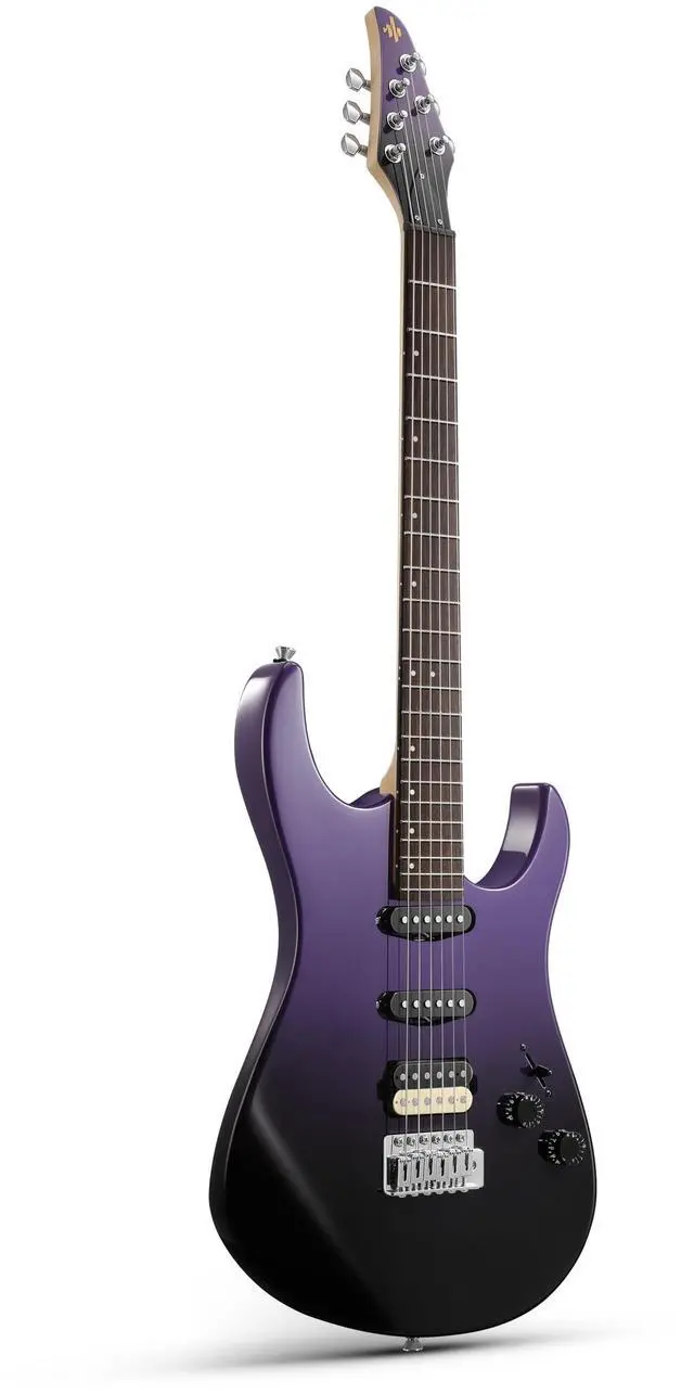 Main image of DMT-66 Solid Body Electric Guitar Kit for Beginners, Full Size 39" Electric Guitar with HSS Pickups, Poplar Body, Maple Neck, Starter Guitar with Gig Bag & Adjustment Wrench, Purplish Black