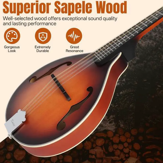 Alt view image 3 of 7 - Mandolin Musical Instrument A Style, Acoustic Mandolins Instrument Kit Italian 8 String for Professional Beginners Adults Teens Youth Kids