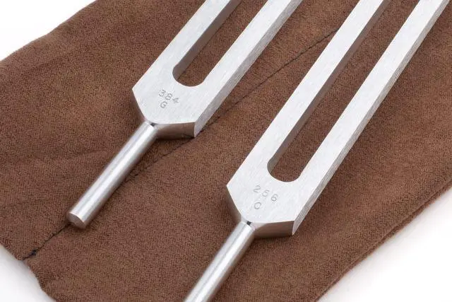 Main image of Body Tuners Tuning Forks - 256Hz & 384Hz (C&G) for Sound Healing, Precision-Machined Aluminum Alloy - Made in USA - Chakra Healing, Sound Therapy, Reiki, Yoga, Energy Balancing Tools