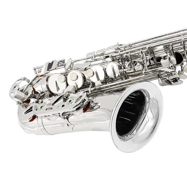 Alt view image 6 of 6 - Student Eb Alto Saxophone E Flat for Beginners Sax Full Kit with Pads Cushions,Hard Carrying Case,Neck Strap,Reeds,Cleaning Cloth & Rod,Mouthpiece,Gloves