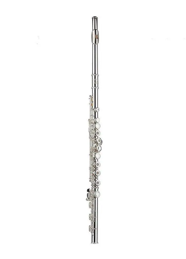 Alt view image 2 of 2 - Silver Plated Intermediate 17keys, Open/closed Hole C Flute with B Foot Joint,Offset G, with Case,cleaning Rod, Joint Grease, Cloth and Gloves