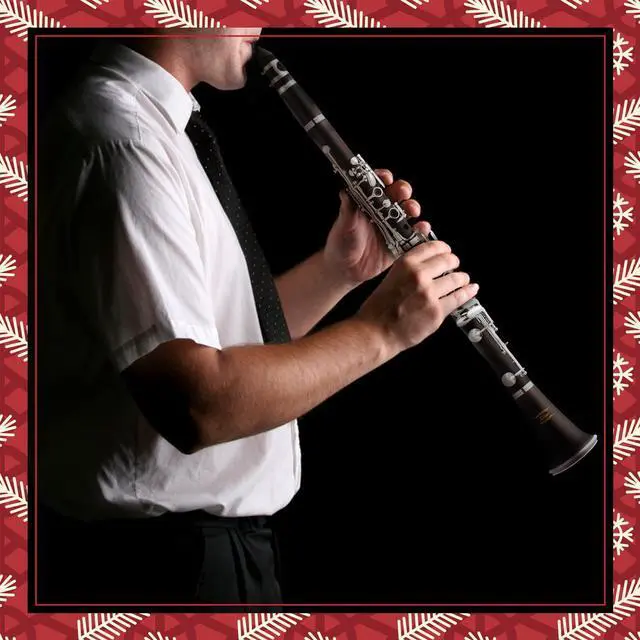 Alt view image 2 of 7 - B Flat Clarinet for Beginner, Ebonite Clarinet Nickel-plated with 2 Barrels, 3 Reeds, White Gloves, Hard Case, Cleaning Kt, ECL-300