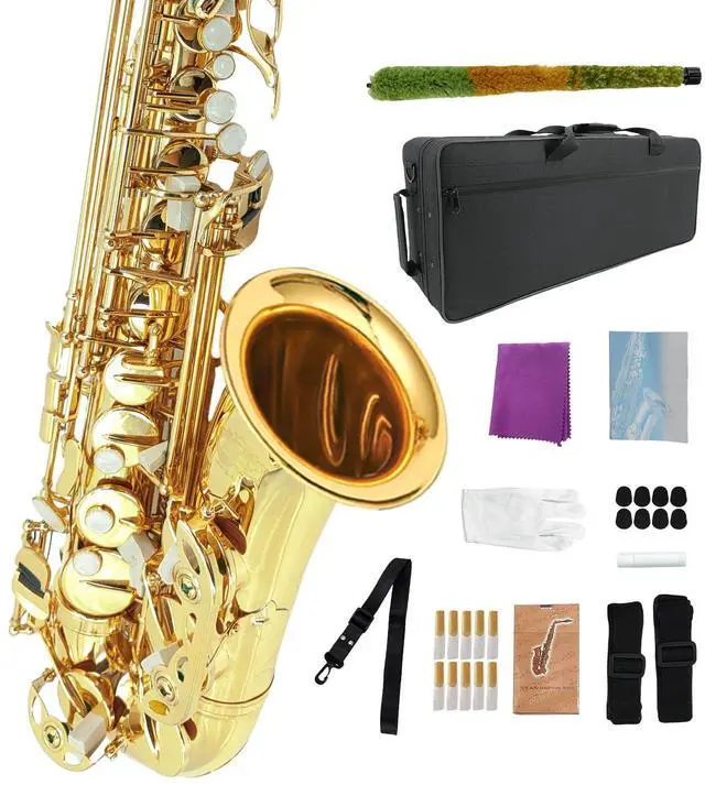Main image of Student Eb Alto Saxophone E Flat for Beginners Sax Full Kit with Pads Cushions,Hard Carrying Case,Neck Strap,Reeds,Cleaning Cloth & Rod,Mouthpiece,Gloves