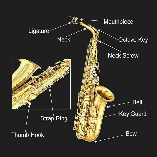 Alt view image 6 of 7 - Student Eb Alto Saxophone E Flat for Beginners Sax Full Kit with Pads Cushions,Hard Carrying Case,Neck Strap,Reeds,Cleaning Cloth & Rod,Mouthpiece,Gloves