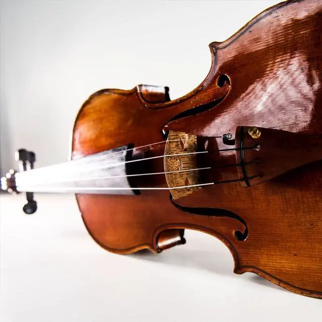 Alt view image 2 of 2 - Dominant Pro Violin Strings DP100, 4/4 Synthetic Core Set for Advanced Violinists - Tin-Plated E, Aluminum A, Silver D&G - Powerful, Balanced with Broad Sound Colors - Made in Vienna