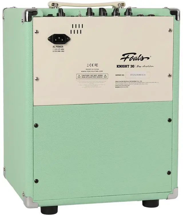 Alt view image 3 of 7 - Electric Bass Amp 30W, Dual-Speaker Design (8" Woofer + 3" Tweeter), Bluetooth, 3-Band EQ, Active/Passive Bass Amplifier for Beginners (Green)