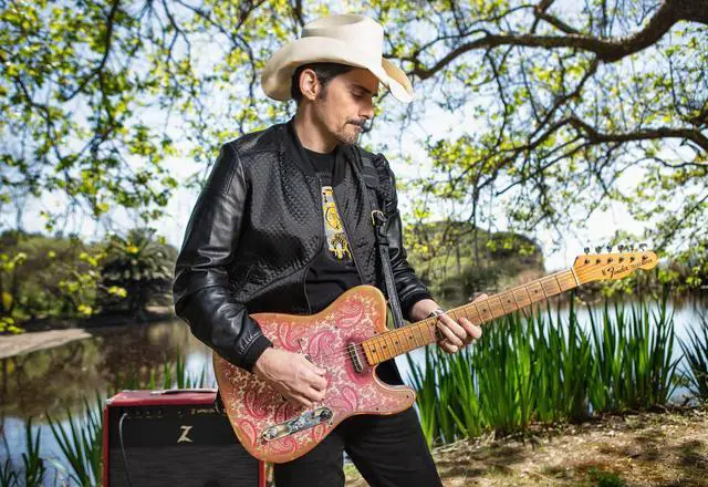 Alt view image 3 of 5 - Brad Paisley La Brea Tele - Set - Electric Guitar Pickup