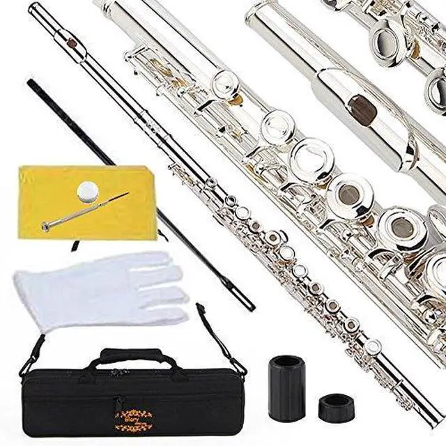 Main image of Silver Plated Intermediate 16 Keys Open/Closed Hole C Flute