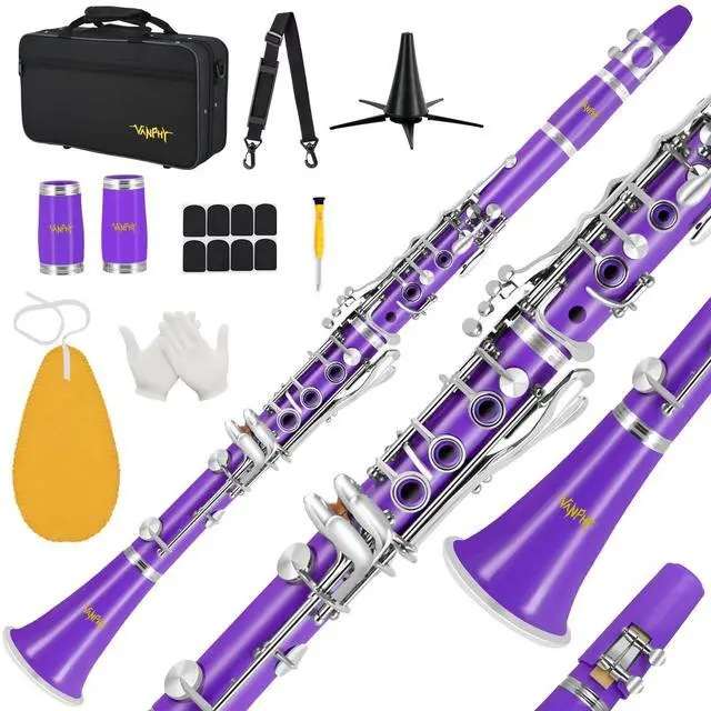 Main image of Bb Clarinet For Beginners Students B Flat Clarinet 17 Keys Clarinet with Case Stand Strap 2 Barrels 8 Mouthpiece Cushion White Gloves(Purple)
