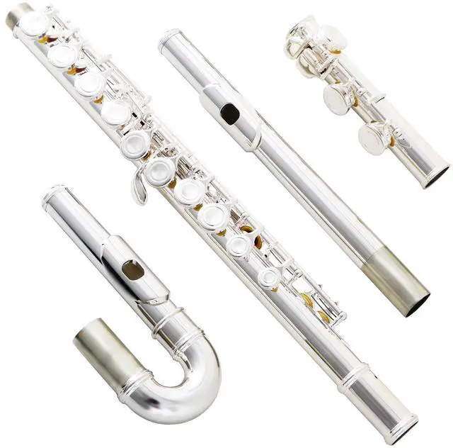 Main image of Silver Plated C Flute Closed Hole 16 Keys Flute Instrument with Curved Head Joint Mouthpiece Replacement,Cleaning Kit,Stand,Carrying Case,Gloves,Tuning Rod for Beginners Kids Students