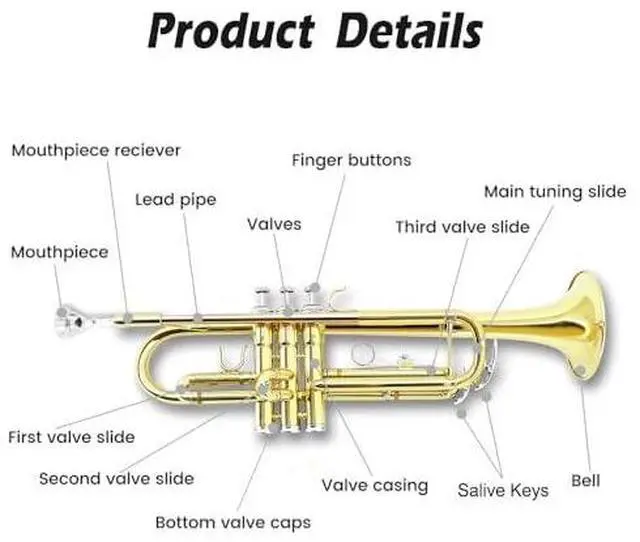 Alt view image 7 of 7 - Bb Standard Trumpet Set for Beginner or Advance Student, Brass Student Trumpet Instrument With Hard Case, 7C Mouthpiece, Cleaning Kit,White Gloves Glod