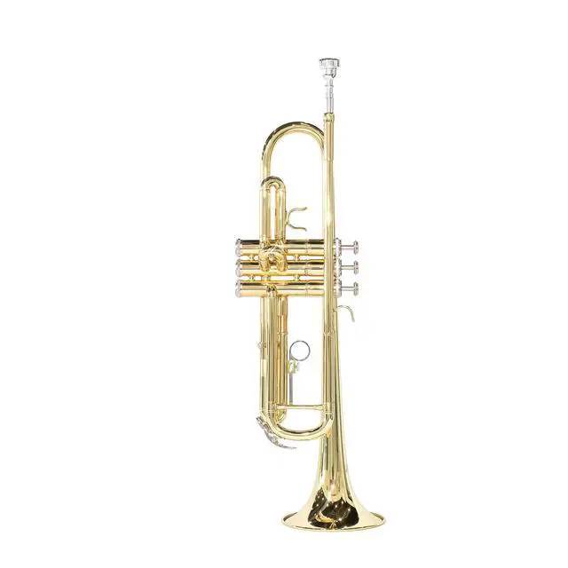 Alt view image 3 of 7 - Bb Standard Trumpet Set for Beginner, Brass Student Trumpet with Carrying Case, Care Kit, Valve Oil, Cloth, 7C Mouthpiece & Gloves Gold