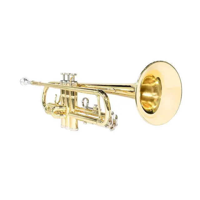 Alt view image 4 of 7 - Bb Standard Trumpet Set for Beginner, Brass Student Trumpet with Carrying Case, Care Kit, Valve Oil, Cloth, 7C Mouthpiece & Gloves Gold
